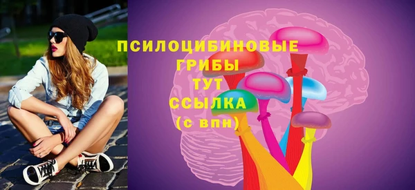 PSILOCYBIN Переславль-Залесский