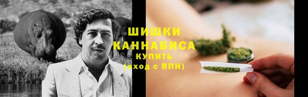 PSILOCYBIN Переславль-Залесский