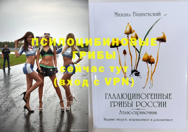 mix Пестово