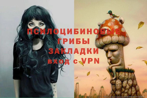 PSILOCYBIN Переславль-Залесский