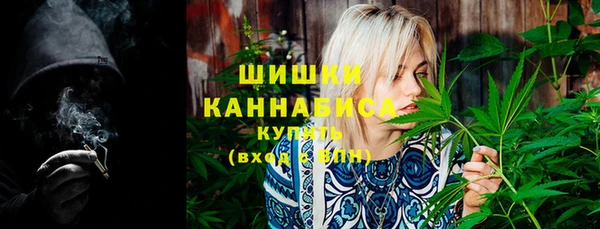 PSILOCYBIN Переславль-Залесский