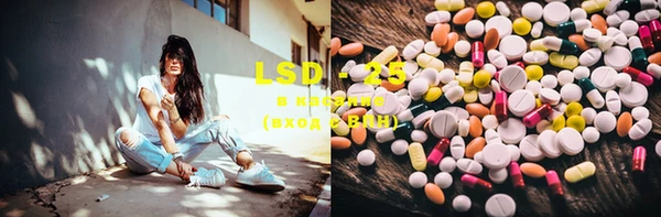 PSILOCYBIN Переславль-Залесский