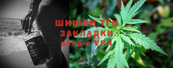 PSILOCYBIN Переславль-Залесский