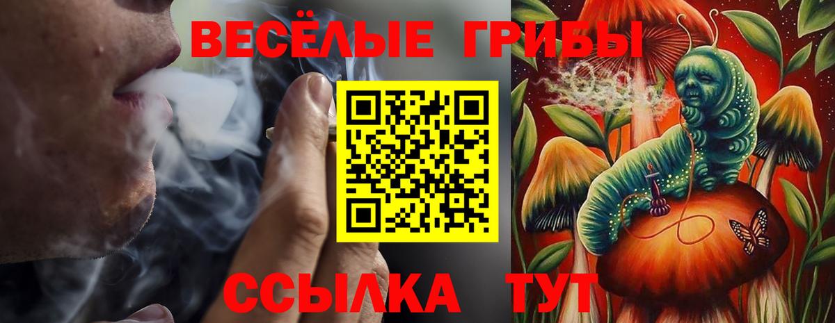 Псилоцибиновые грибы Magic Shrooms Тара